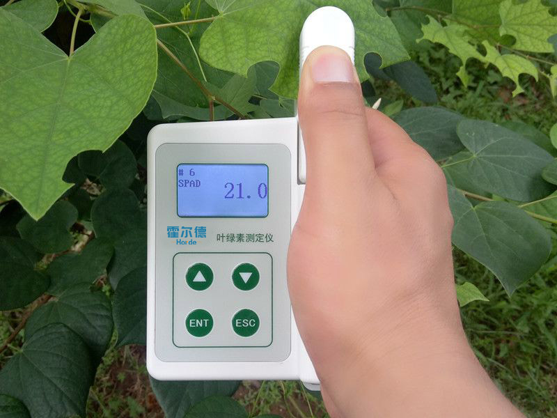 葉綠素含量測定儀具備哪些功能？