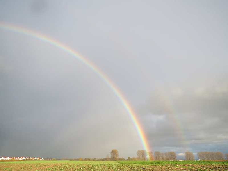 六要素氣象站可監(jiān)測(cè)哪六種氣象要素
