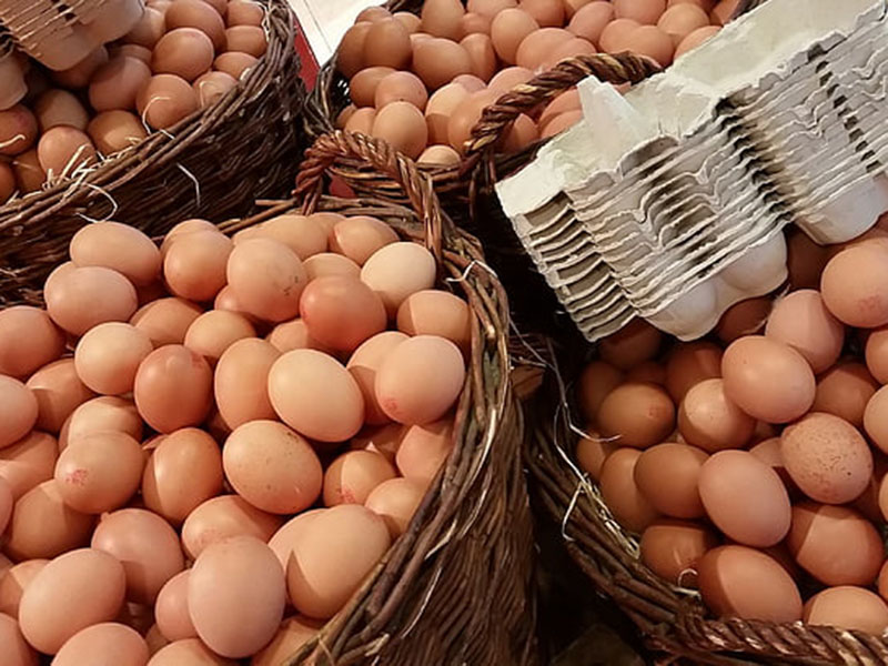 雞蛋藥物殘留檢測(cè)儀可用于禽蛋中的獸藥檢測(cè)