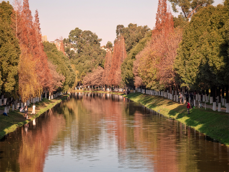 水質(zhì)檢測(cè)儀是什么原理（水質(zhì)檢測(cè)儀器檢測(cè)是什么指標(biāo)）