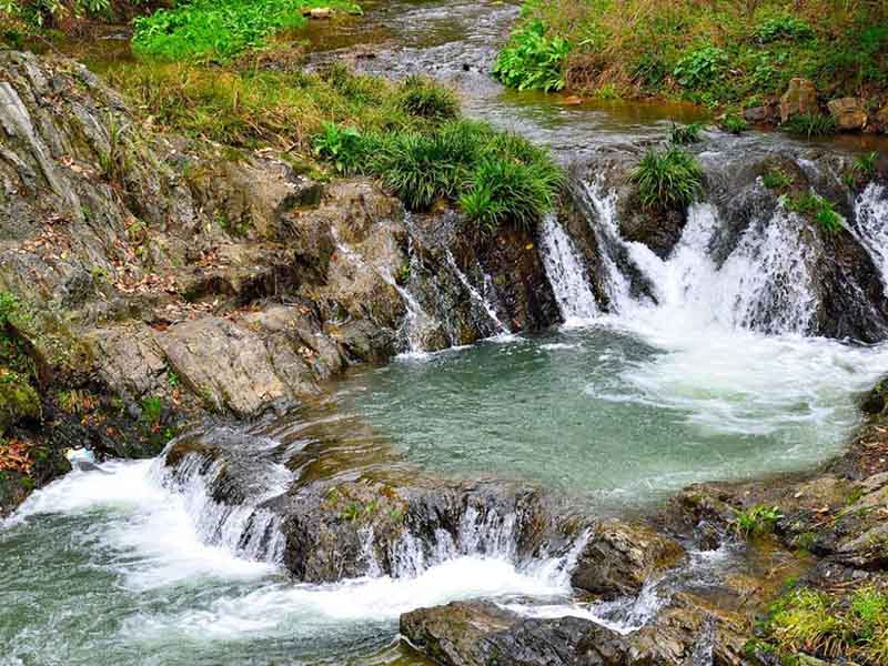 污水處理廠出水COD異常原因