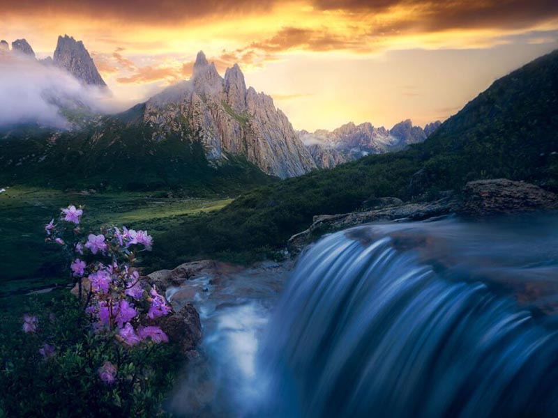 糞大腸菌群檢測(cè)標(biāo)準(zhǔn)