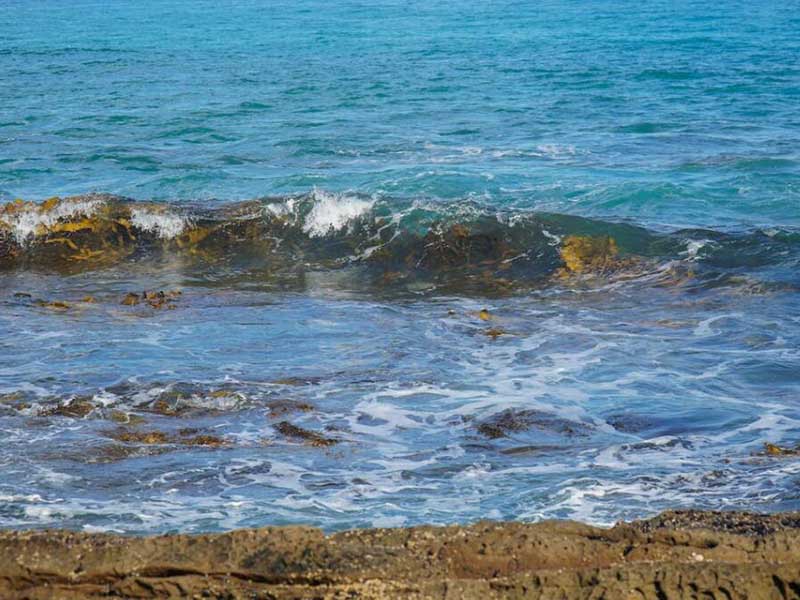 水質檢測中的TOC是什么