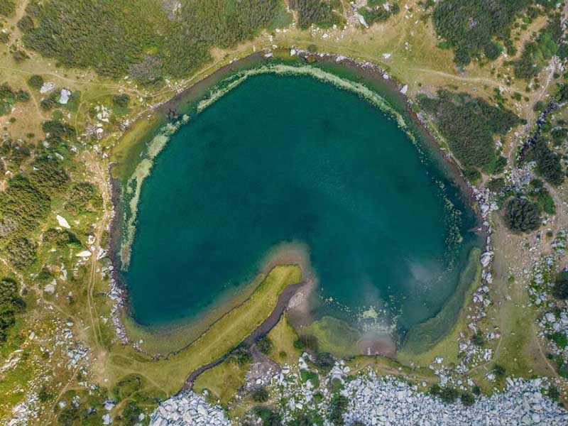在線水中油分析儀品牌