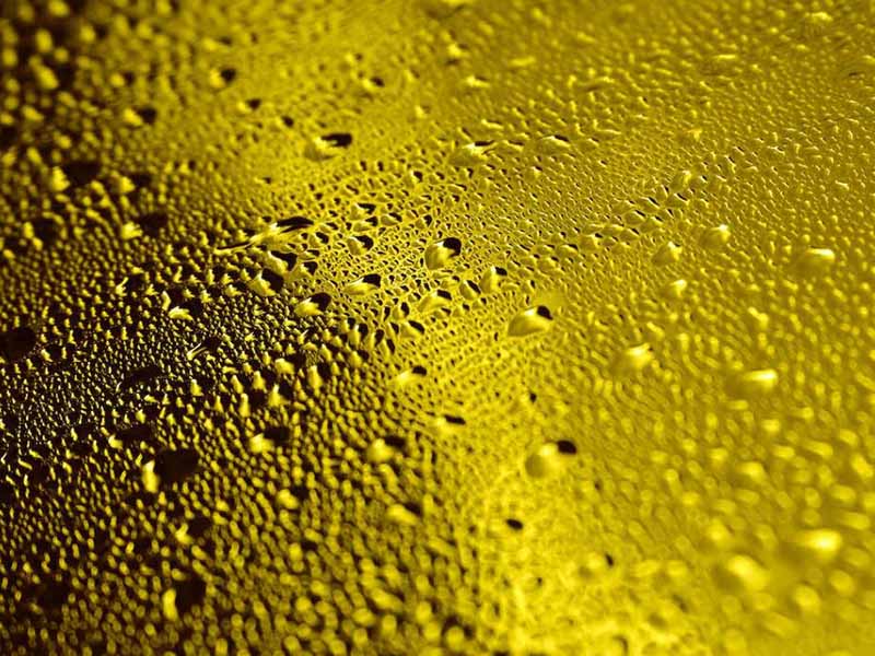 食用油酸價(jià)檢測儀功能特點(diǎn)