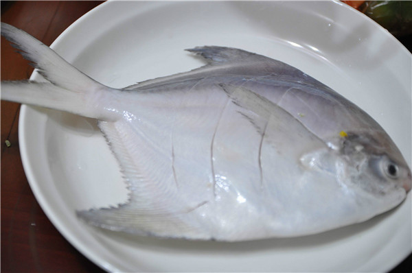 氯霉素檢測(cè)儀分析氯霉素對(duì)淡水白鯧的危害