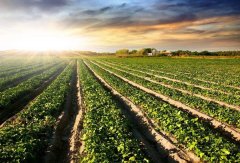 如何區(qū)分土壤肥料快速測試儀的優(yōu)缺點(diǎn)