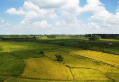 土壤水分測定儀實現(xiàn)農(nóng)業(yè)精細化發(fā)展