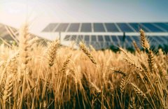 土壤養(yǎng)分分析儀促進農(nóng)業(yè)進步