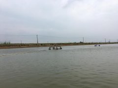 霍爾德便攜式余氯檢測儀，可提前預(yù)防養(yǎng)殖風(fēng)險(xiǎn)